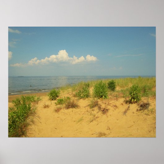 Poster Jersey Shore 2 (Devant)