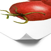 Poster Jersey Tomato (Coin)