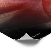 Poster J'espère que tu danses (Coin)