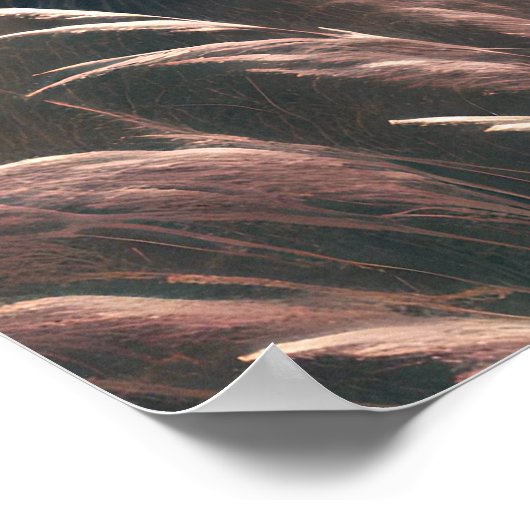 Poster Jésus Est Mon Pasteur Bible Chrétienne Art (Coin)