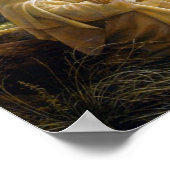 Poster Jésus se lamente pour Jérusalem. Luc 13:34 (Coin)