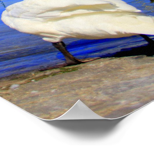 Poster Jet d'eau (Coin)