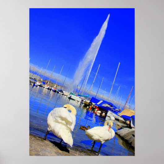 Poster Jet d'eau (Devant)