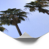 Poster Jet Stream Au-Dessus Des Palmiers (Coin)