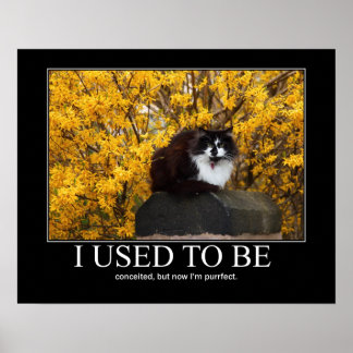 Poster J'Étais.. Artisanat de chat amusant