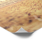 Poster Jetée de l'océan vintage (Coin)