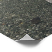 Poster jetée en bois (Coin)