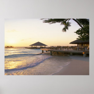 Poster Jetée hawaïenne