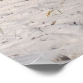 Poster Jeter des ponies sauvages au Parc national Assatea (Coin)