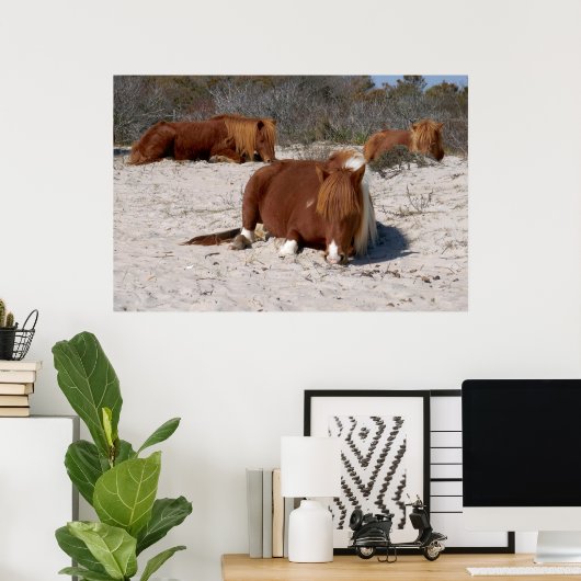 Poster Jeter des ponies sauvages au Parc national Assatea (Bureau à domicile)