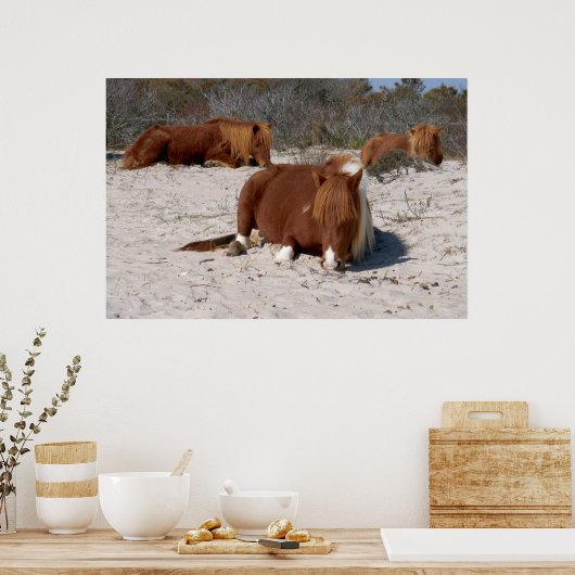 Poster Jeter des ponies sauvages au Parc national Assatea (Cuisine)