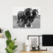 Poster JETER le terrain avec des CHEVAUX CLYDESDALE (Bureau à domicile)