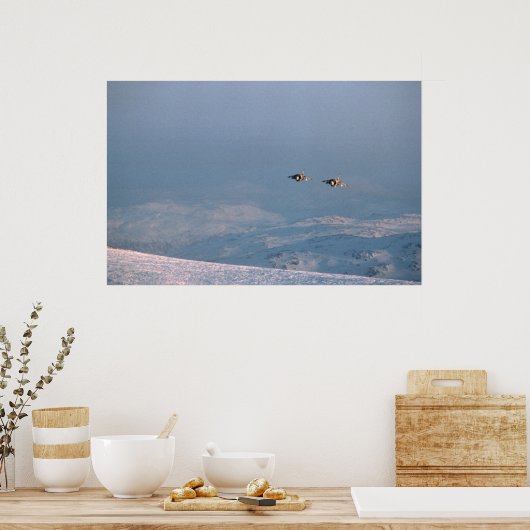 Poster Jets de saut Harrier (Cuisine)