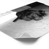 Poster Jett sur bois dur (Coin)