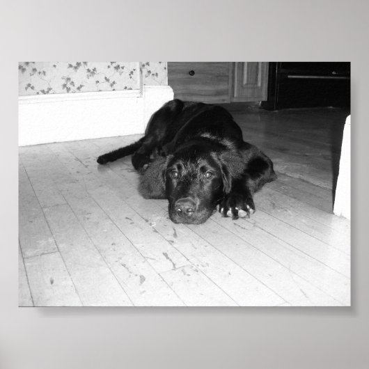 Poster Jett sur bois dur (Devant)