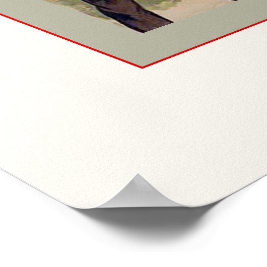 Poster Jeu de baseball 1887 (Coin)