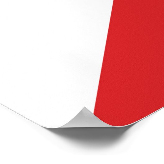 Poster Jeu de Carnaval Saut d'une plaque (Coin)