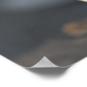 Poster Jeu de chèvre (Coin)