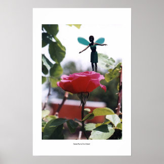 Poster Jeu de jardin