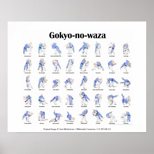 Poster Jeu de judo (Devant)