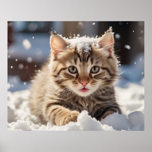 Poster *~* Jeu de neige Kitty 5:4 Kitten Cat AP68 (Devant)