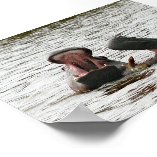 Poster Jeu d'hippopotames maman & fils (Coin)