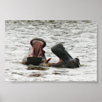 Jeu d'hippopotames maman & fils