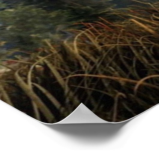 Poster Jeu rouille Facepunch Logo Jeu (Coin)