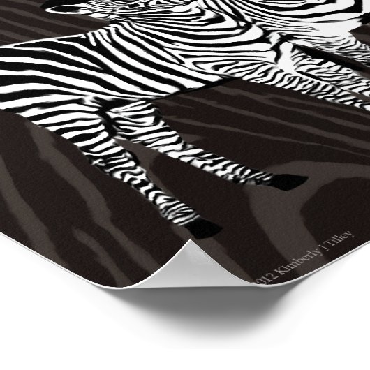 Poster Jeu Zebra (Coin)