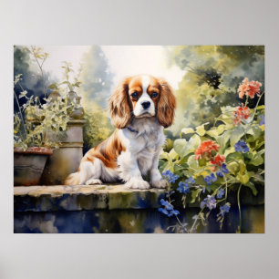 Poster Jeune Cavalier Spaniel adorable