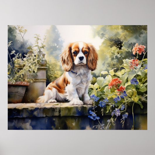 Poster Jeune Cavalier Spaniel adorable (Devant)