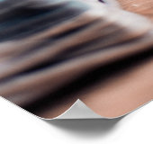 Poster Jeune Chat Perse Blanc Assis Avec Plante (Coin)