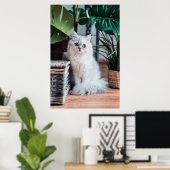 Poster Jeune Chat Perse Blanc Assis Avec Plante (Bureau à domicile)
