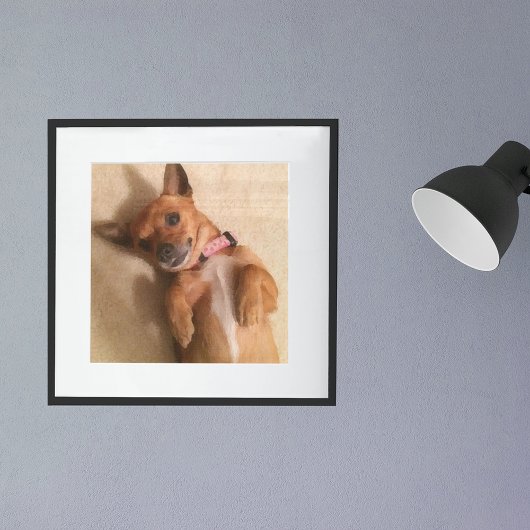 Poster Jeune chien teckel marron en pose ventrale
