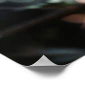 Poster Jeune Chimpanzé pendu à la forêt (Coin)