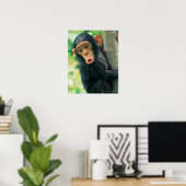 Poster Jeune chimpanzé (poitrine troglodytique) (Bureau à domicile)
