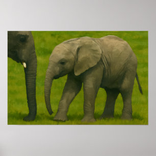 Poster Jeune éléphant avec tuteur dans la réserve de Gras
