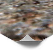 Poster Jeune empereur (Coin)