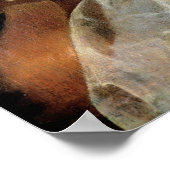 Poster Jeune femme jouant une Viola da Gamba (Coin)