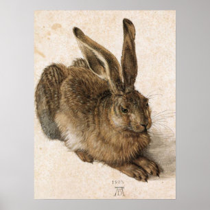 Poster "Jeune Hare
