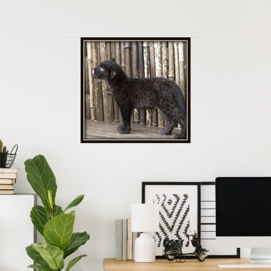 Poster Jeune léopard noir (Bureau à domicile)