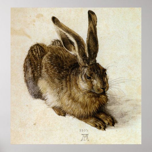 Poster "Jeune lièvre" par Albrecht Dürer (Devant)