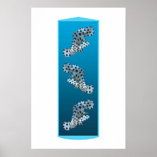 Poster Jeune Mérou - Conception de fond dégradé bleu   