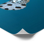 Poster Jeune Mérou - Fond bleu dégradé | (Coin)