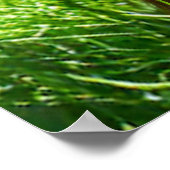 Poster Jeune Orangutan profondément dans la pensée (Coin)