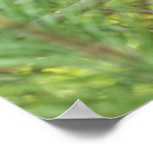 Poster Jeune ours grimpant à un arbre (Coin)