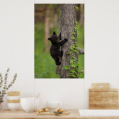 Poster Jeune ours noir grimpant à un arbre (Cuisine)