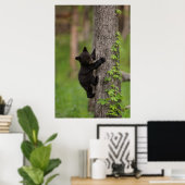 Poster Jeune ours noir grimpant à un arbre (Bureau à domicile)