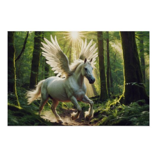 Poster Jeune Pegasus forestier (Devant)