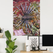 Poster Jeune poisson-lionne (Bureau à domicile)